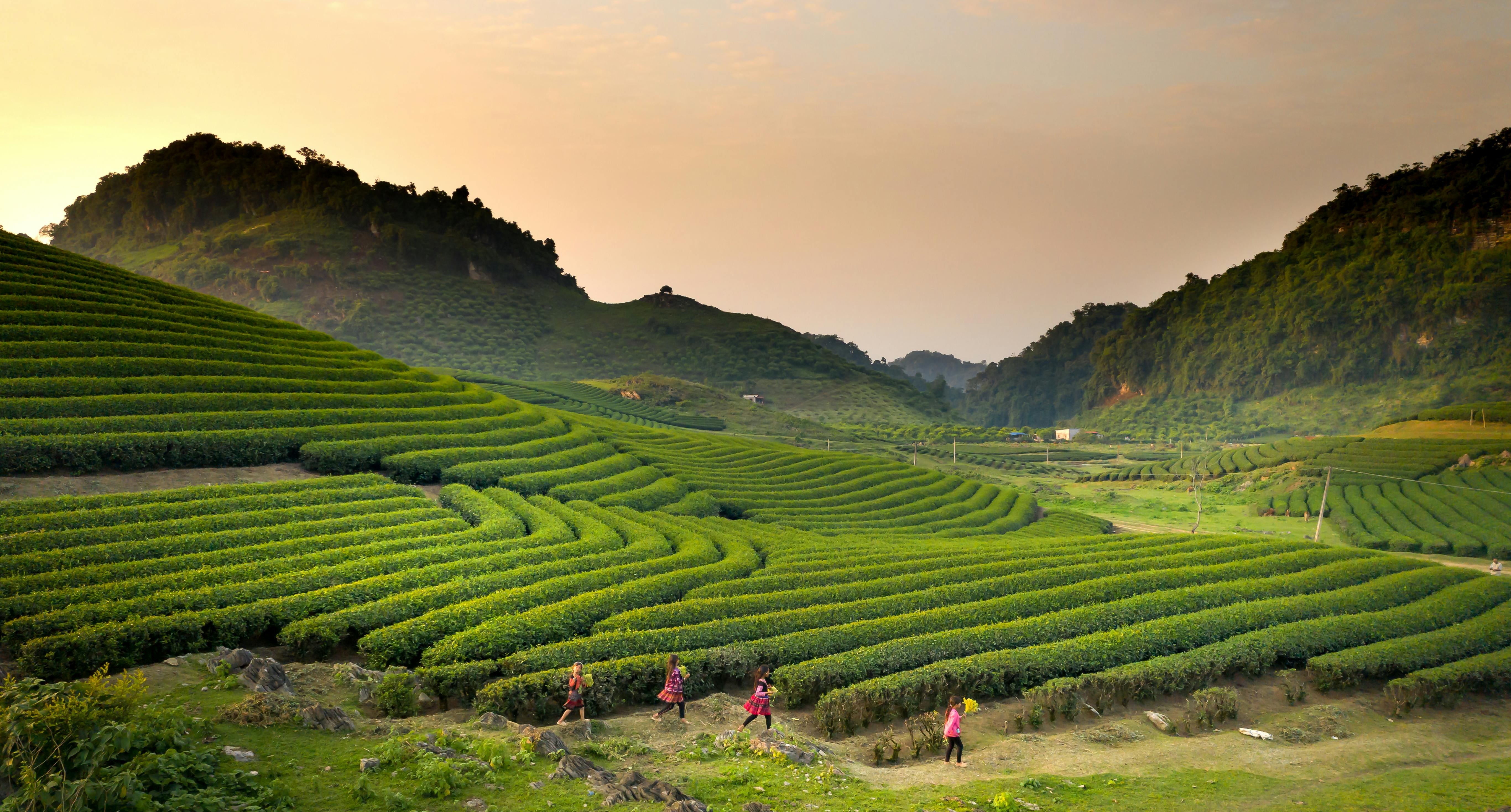 Himalayan Escape – Darjeeling, Pelling & Gangtok