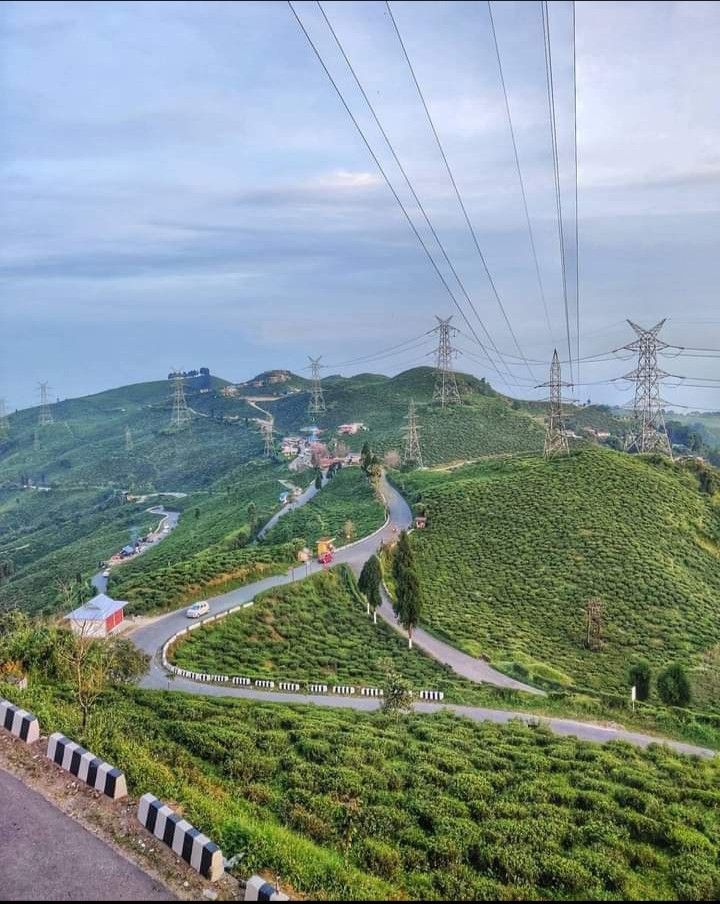 Darjeeling Breeze