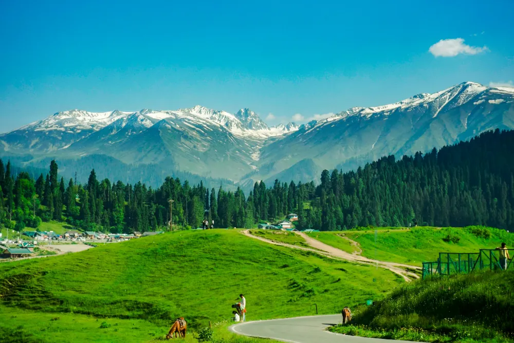 Kashmir