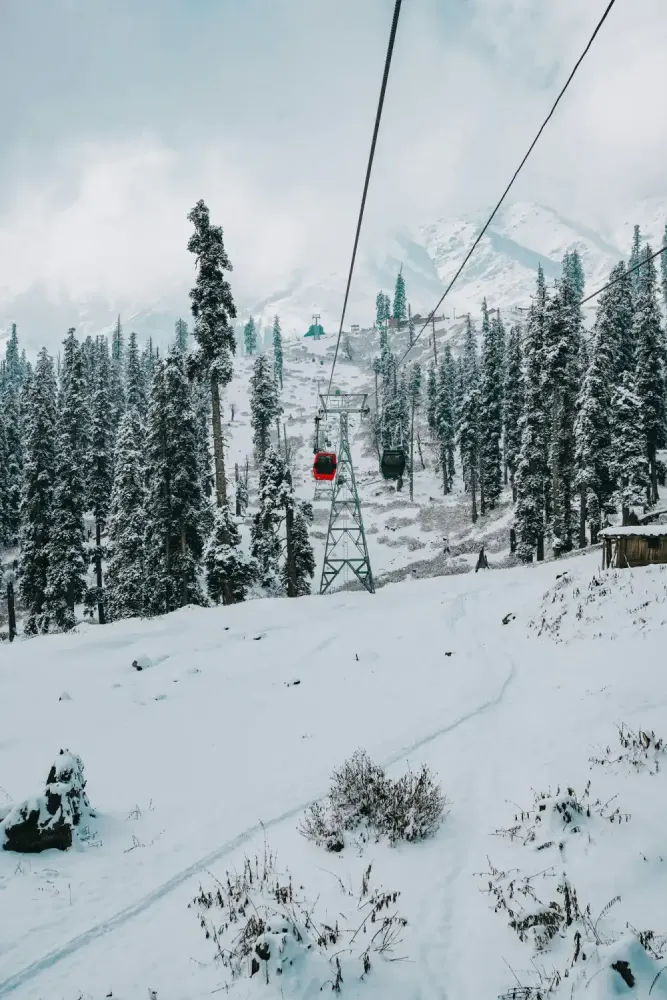 Kashmir Journey to Paradise Couple Package I 3N 4D