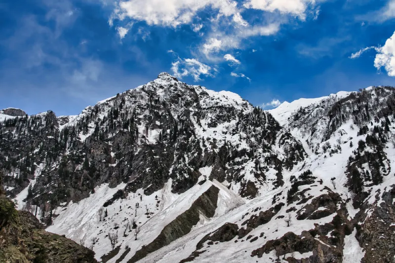 Kashmir