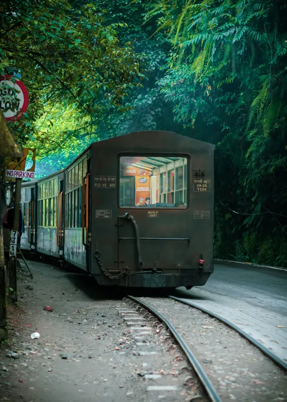 Darjeeling Drift