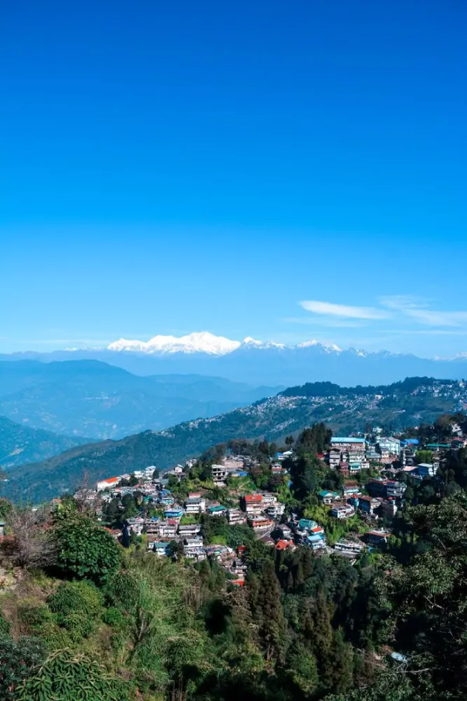 Darjeeling Drift