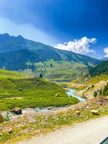 Kashmir