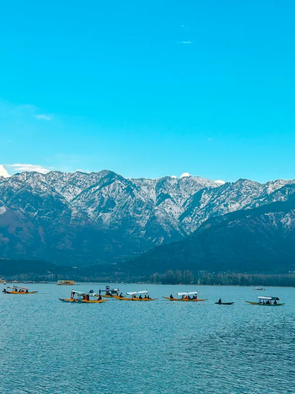 Kashmir