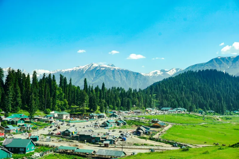 Premium Kashmir