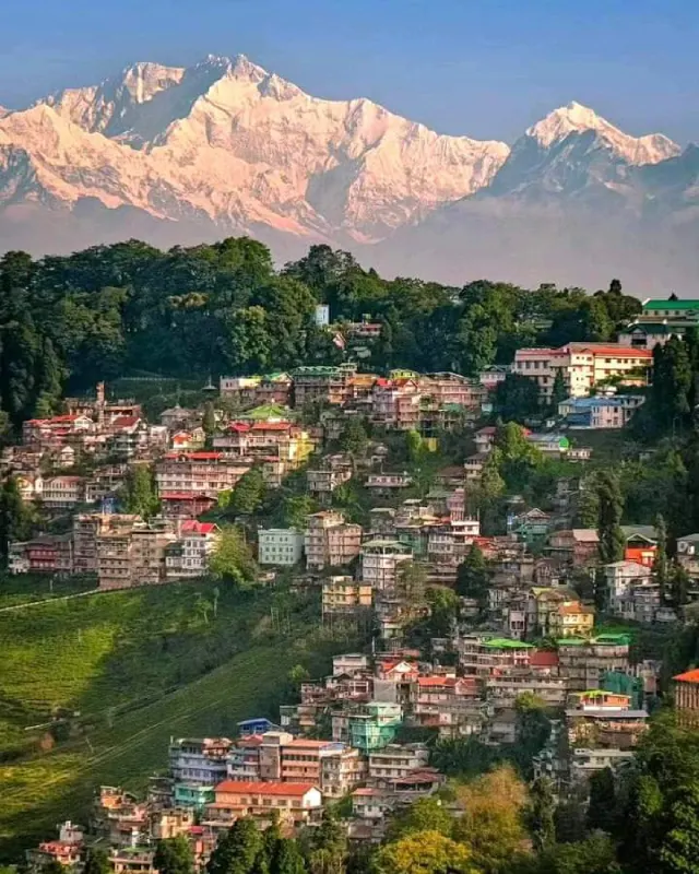 Darjeeling Serenity