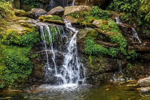 Darjeeling Serenity