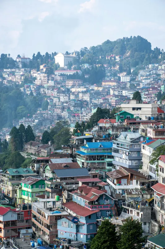 Darjeeling Trails