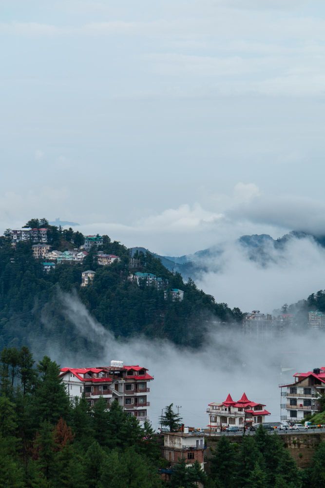 Shimla Mountain Escape  Package I From Chandigarh