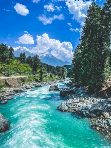 Kashmir Ultimate Holiday