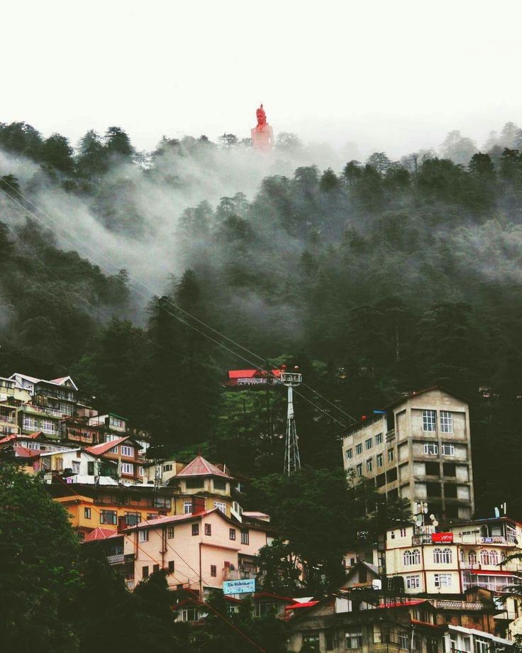 Shimla Hills Family Tour