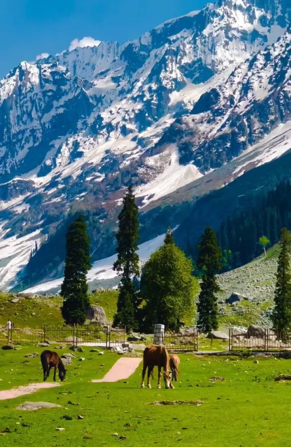 Kashmir