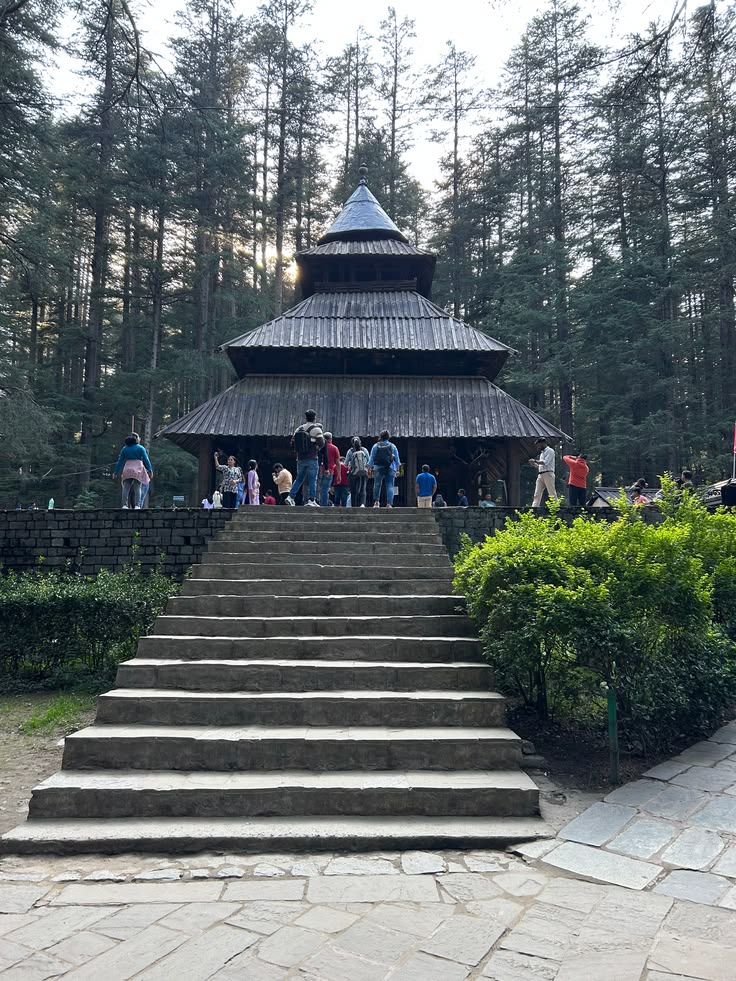 Shimla Hills Explorer Package  I 5D 4N
