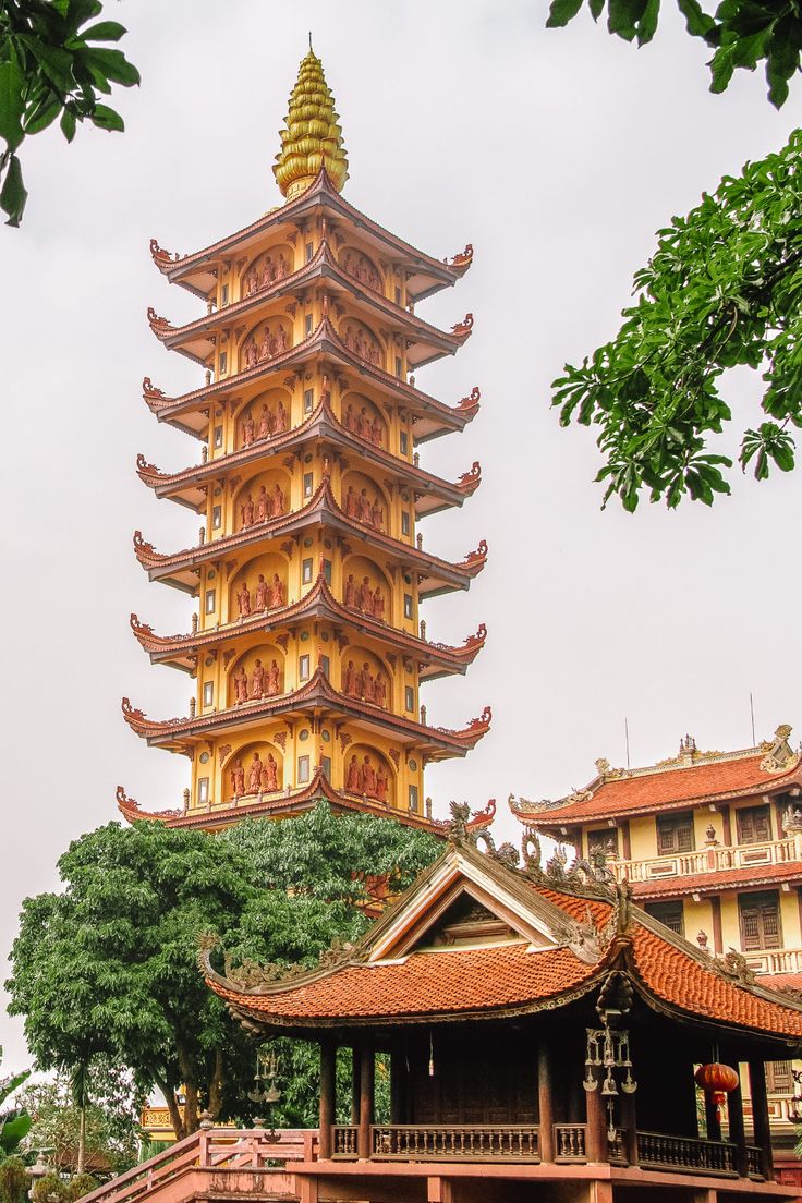 Vietnam Experience Deluxe  Tour Package