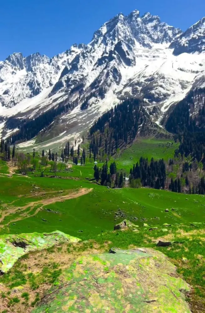 Kashmir