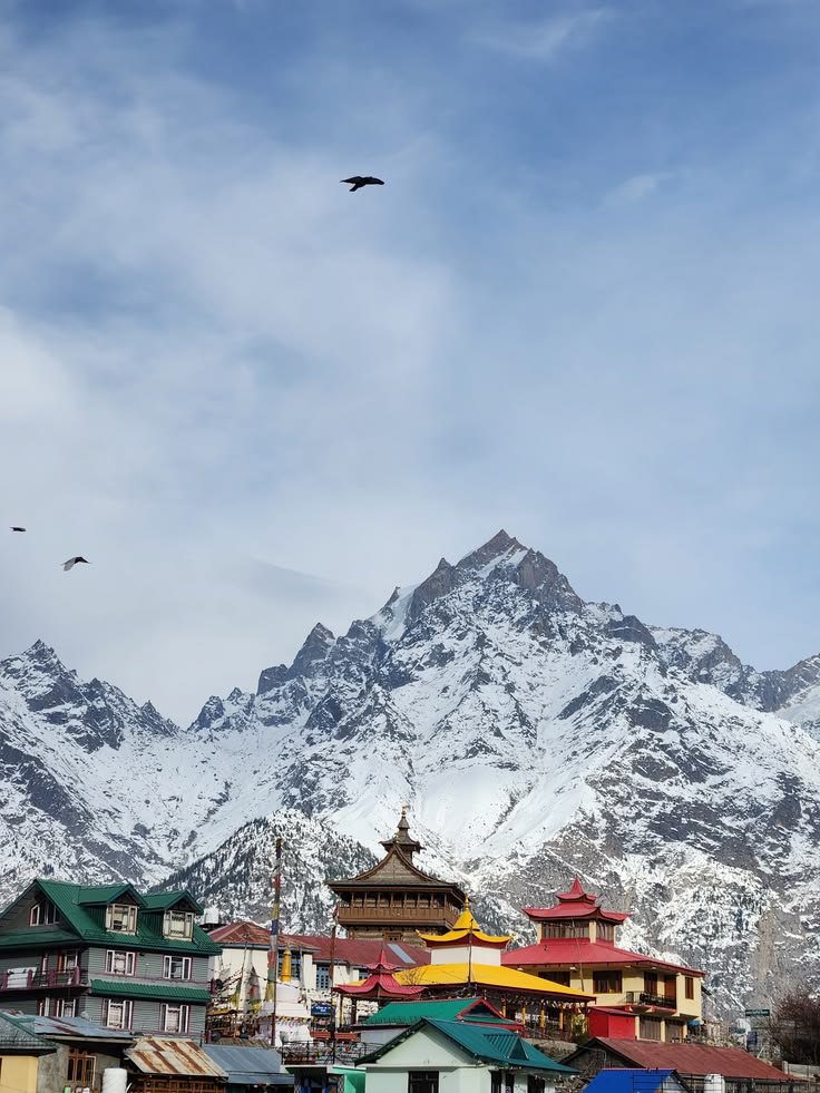 Shimla Couple Getaway Package