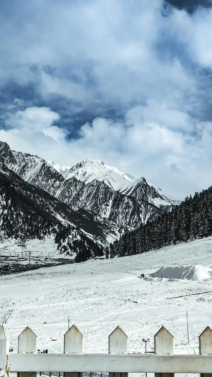 Kashmir Couple Paradise Package