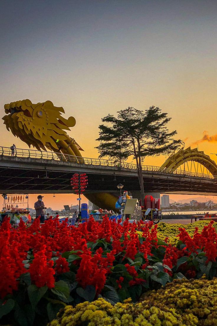 Vietnam Experience Deluxe  Tour Package