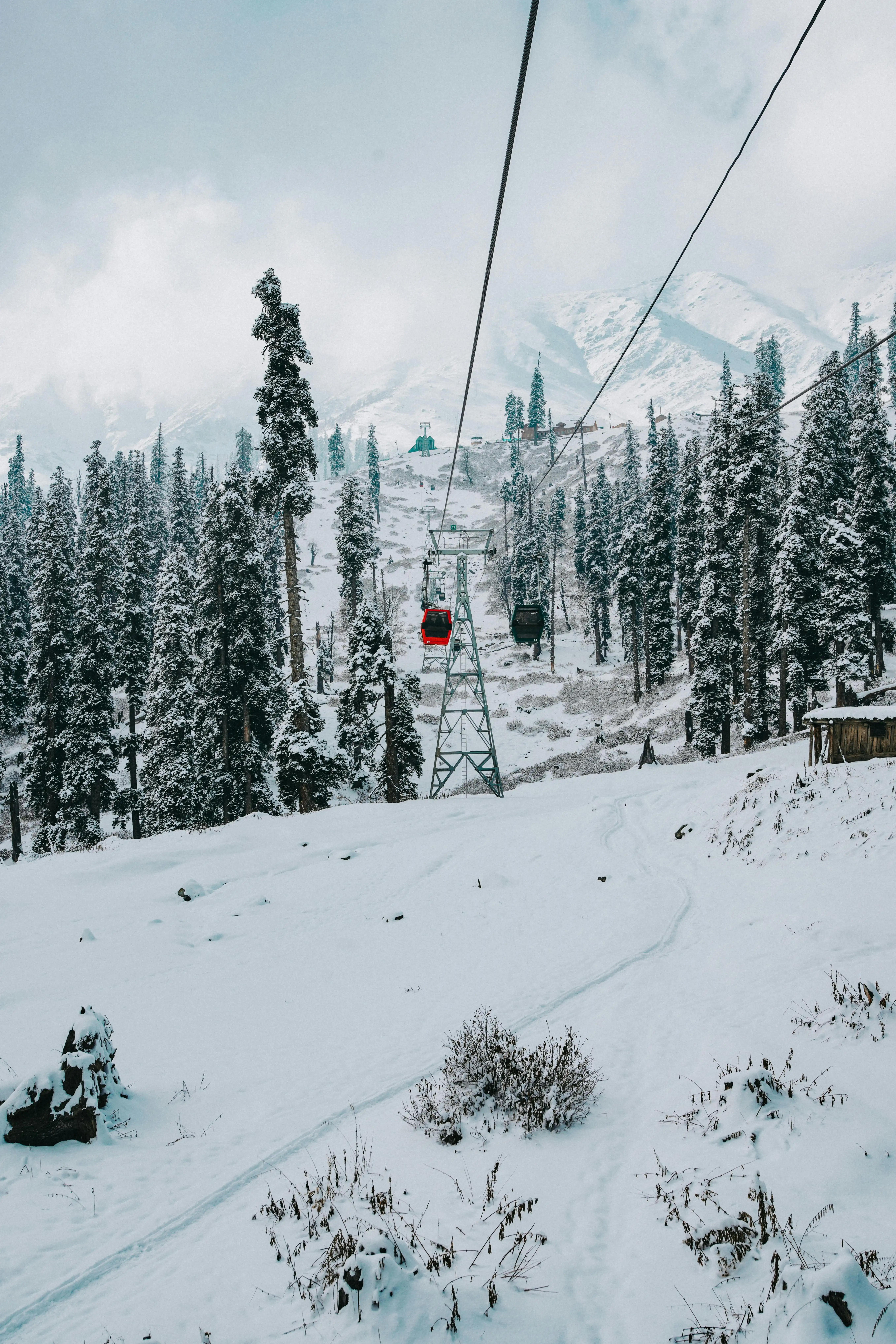 Heavenly Kashmir Romantic Escape Package 