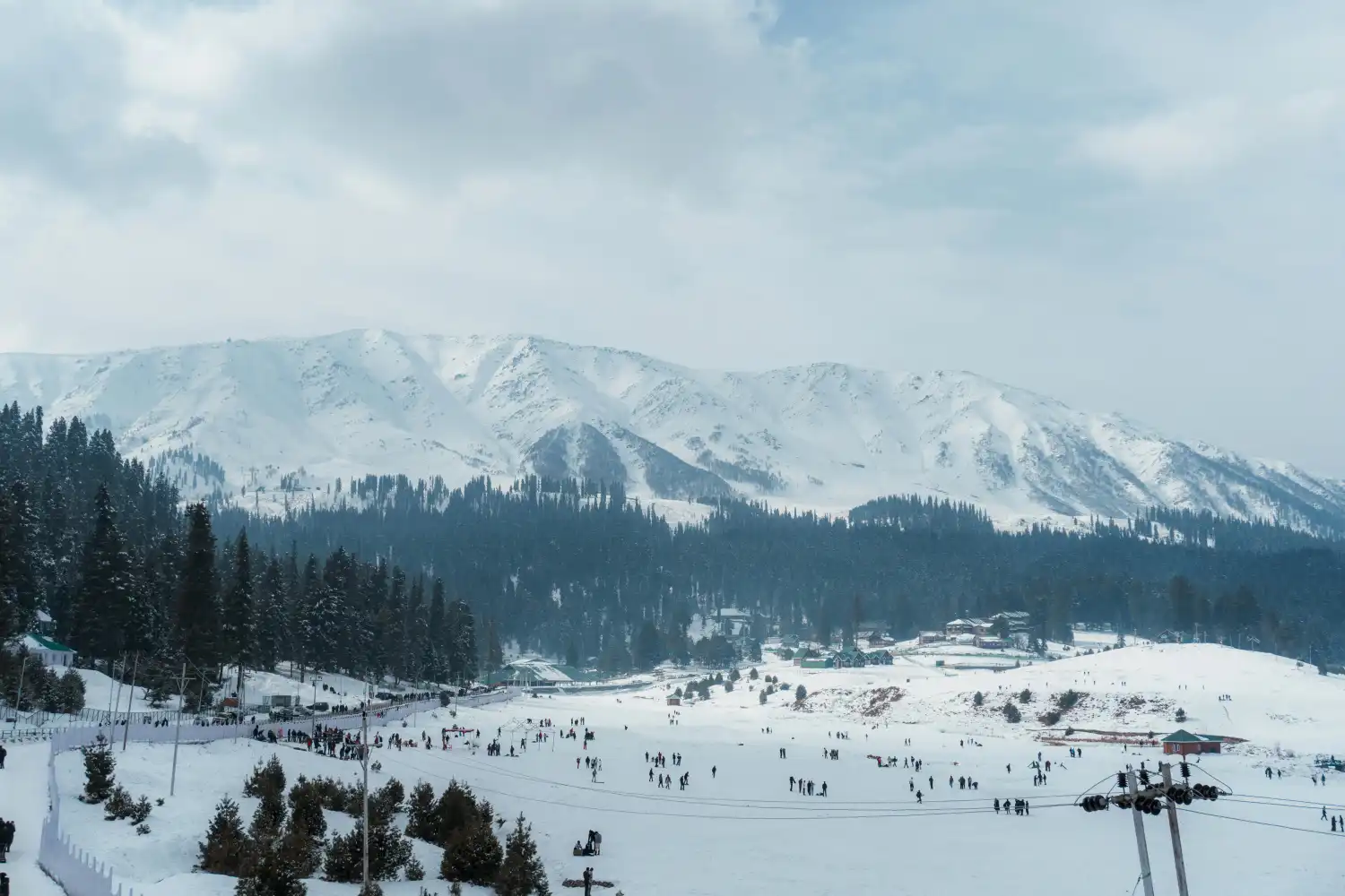 Kashmir